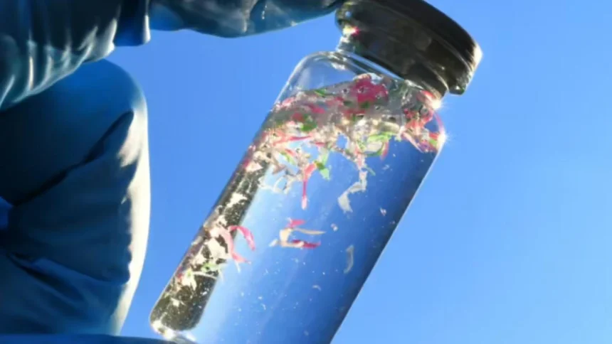 el-plastico-ya-llego-a-la-alta-montana-y-cientificos-buscan-medir-su-impacto-ambiental