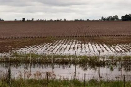 el-exceso-de-lluvias-afecto-negativamente-al-agro:-“hay-fotos-y-videos-de-plantaciones-con-ruptura-de-la-estructura”