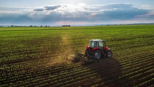 en-medio-del-debate-por-la-ley-de-tierras,-para-la-agenda-agropecuaria-de-hoy-“la-urgencia-es-otra”