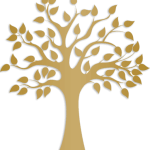 la-jueza-afiuni-obtiene-libertad-plena-y-cierre-de-su-caso-tras-16-anos