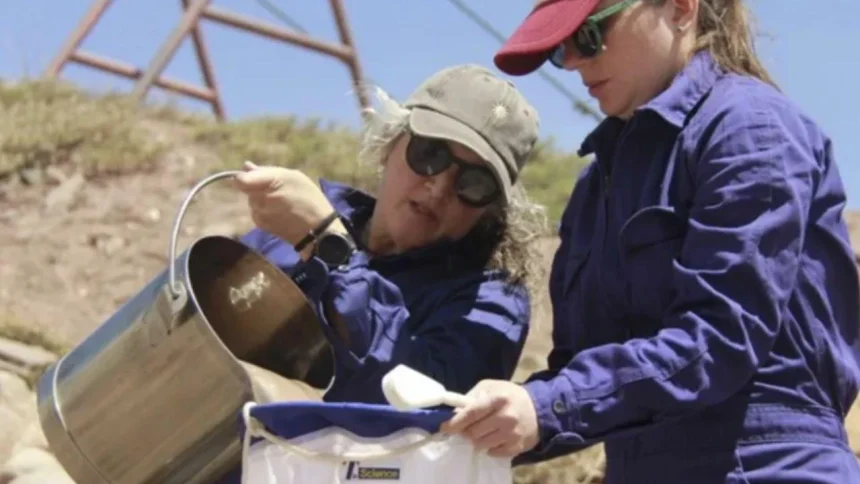 los-microplasticos-tambien-llegaron-al-aconcagua-y-ahora-buscan-medir-cuanto-dano-provocaron