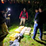 la-policia-de-misiones-secuestro-37-kilos-de-marihuana-en-jardin-america-pero-el-sospechoso-que-vigilaba-el-cargamento-logro-huir