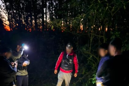 la-policia-de-misiones-secuestro-37-kilos-de-marihuana-en-jardin-america-pero-el-sospechoso-que-vigilaba-el-cargamento-logro-huir