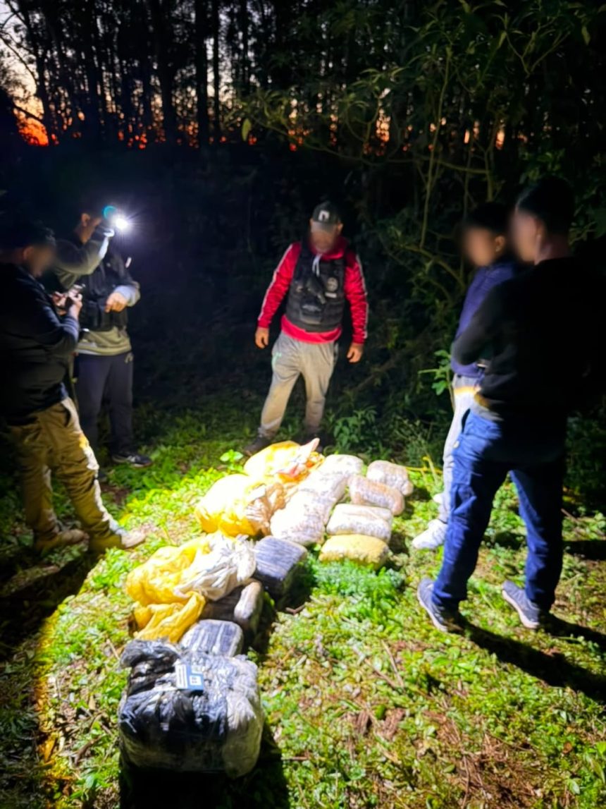 la-policia-de-misiones-secuestro-37-kilos-de-marihuana-en-jardin-america-pero-el-sospechoso-que-vigilaba-el-cargamento-logro-huir