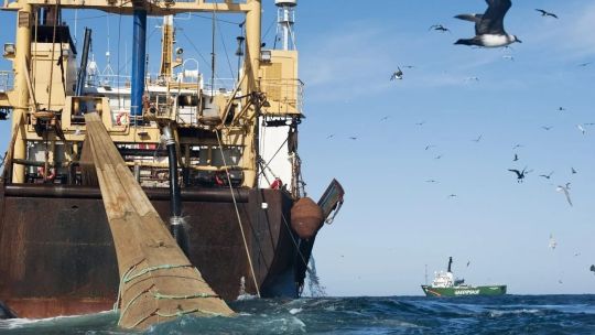 mile-201:-the-invisible-line-where-fishing-becomes-environmental-poaching