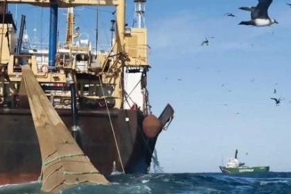 from-squid-to-oil:-how-the-uk-is-consolidating-the-illegal-exploitation-of-the-malvinas-waters-through-to-2047