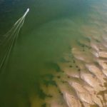 el-fenomeno-el-nino-se-extendera-hasta-el-comienzo-del-otono-2027:-el-factor-determinante-que-definira-su-impacto-en-argentina