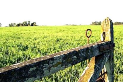 agro:-el-oficio-del-pasado,-la-profesion-del-futuro