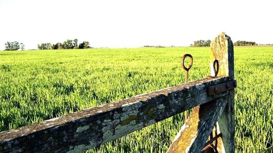 agro:-el-oficio-del-pasado,-la-profesion-del-futuro