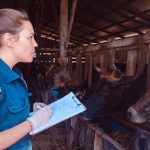 sanidad-animal-y-salud-publica-en-misiones:-despliegan-un-operativo-en-80-establecimientos-de-la-cuenca-lechera