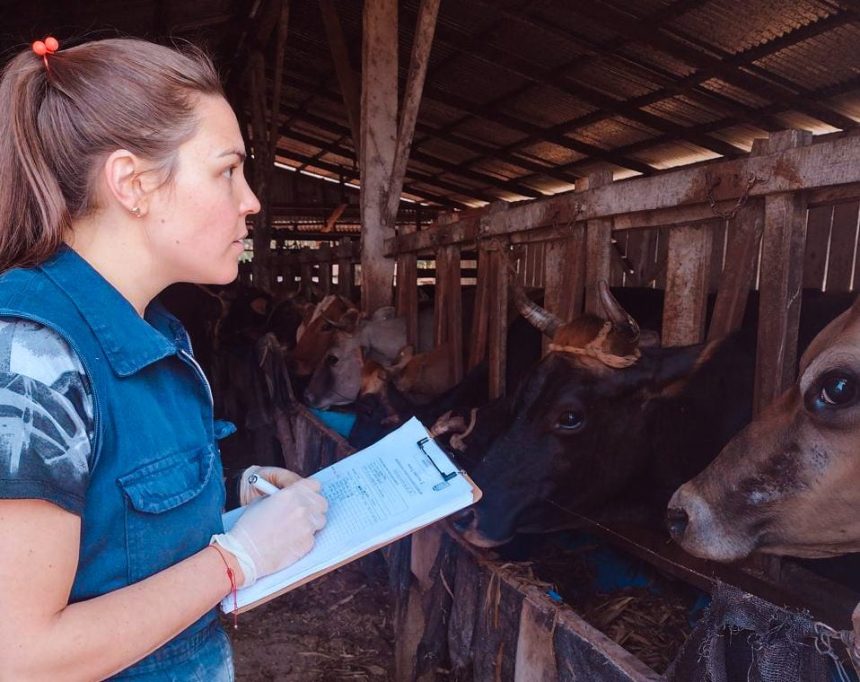 sanidad-animal-y-salud-publica-en-misiones:-despliegan-un-operativo-en-80-establecimientos-de-la-cuenca-lechera
