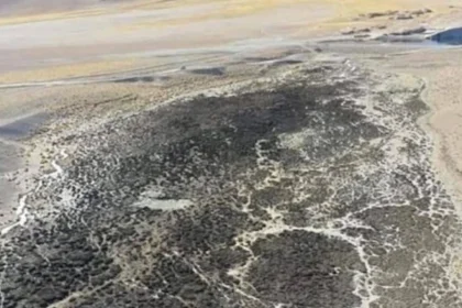 la-minera-livent-seco-un-rio-en-catamarca-y-quedo-impune-mientras-se-multiplican-permisos-para-explotar-en-la-zona