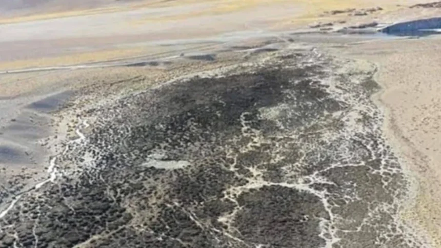la-minera-livent-seco-un-rio-en-catamarca-y-quedo-impune-mientras-se-multiplican-permisos-para-explotar-en-la-zona