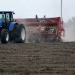 en-un-bastion-cerealero,-la-siembra-fina-concluyo-con-una-marcada-caida-por-el-clima-y-los-margenes-ajustados