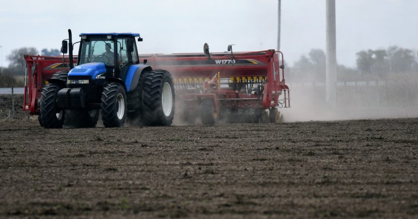 en-un-bastion-cerealero,-la-siembra-fina-concluyo-con-una-marcada-caida-por-el-clima-y-los-margenes-ajustados