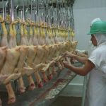 la-mayor-avicola-del-pais-despidio-a-250-trabajadores-de-su-planta-de-concepcion-del-uruguay