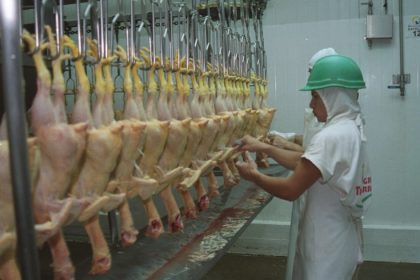 la-mayor-avicola-del-pais-despidio-a-250-trabajadores-de-su-planta-de-concepcion-del-uruguay
