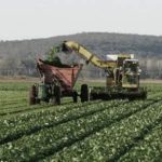 por-que-el-campo-argentino-pide-ser-considerado-un-“super-rigi”-por-sus-inversiones