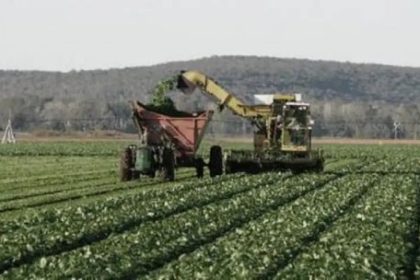 por-que-el-campo-argentino-pide-ser-considerado-un-“super-rigi”-por-sus-inversiones