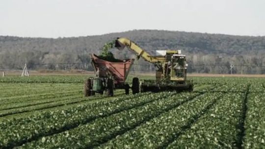 por-que-el-campo-argentino-pide-ser-considerado-un-“super-rigi”-por-sus-inversiones