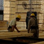 la-industria-maderera-perdio-8,57%-de-su-empleo-y-faima-advierte-que-el-ajuste-golpea-al-segmento-de-mayor-valor-agregado