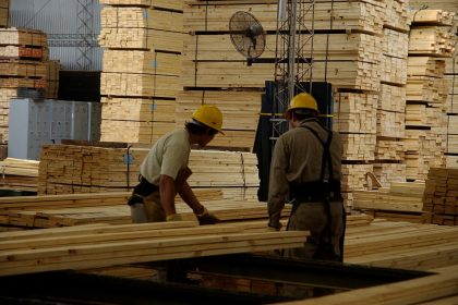 la-industria-maderera-perdio-8,57%-de-su-empleo-y-faima-advierte-que-el-ajuste-golpea-al-segmento-de-mayor-valor-agregado