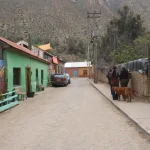 anne,-una-mujer-que-encontro-su-hogar-en-el-corazon-del-valle-del-elqui