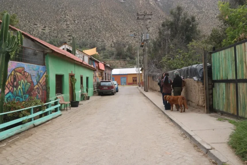anne,-una-mujer-que-encontro-su-hogar-en-el-corazon-del-valle-del-elqui