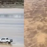 una-hilux-dejo-huellas-de-hasta-25-centimetros-en-un-area-protegida-de-san-juan-y-la-recuperacion-del-suelo-podria-tardar-100-anos