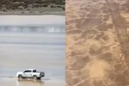 una-hilux-dejo-huellas-de-hasta-25-centimetros-en-un-area-protegida-de-san-juan-y-la-recuperacion-del-suelo-podria-tardar-100-anos