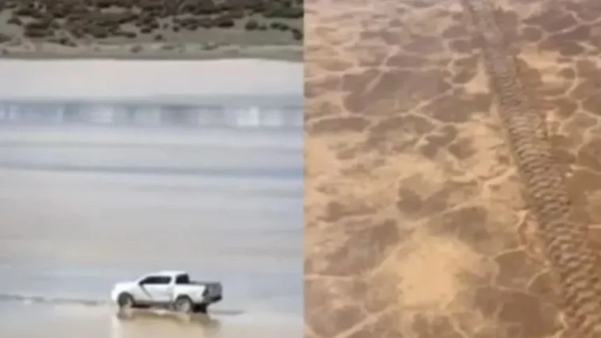 una-hilux-dejo-huellas-de-hasta-25-centimetros-en-un-area-protegida-de-san-juan-y-la-recuperacion-del-suelo-podria-tardar-100-anos