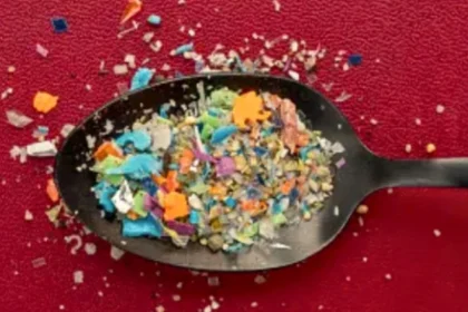 los-microplasticos-esconden-otro-problema-que-preocupa-a-los-cientificos