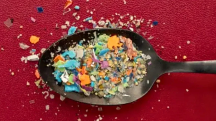 los-microplasticos-esconden-otro-problema-que-preocupa-a-los-cientificos