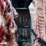 retiran-mas-de-13-toneladas-de-carne-vacuna-argentina-en-estados-unidos-por-no-pasar-por-una-reinspeccion-sanitaria-obligatoria