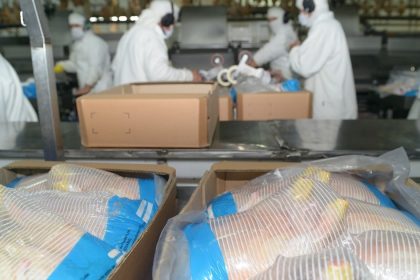 “nueva-oportunidad”:-tras-la-reapertura-europea,-argentina-logro-abrir-el-mercado-surcoreano-para-la-carne-aviar