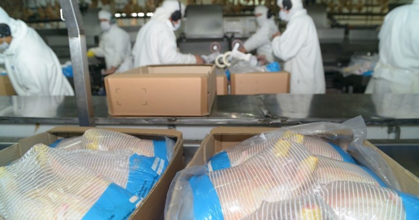 “nueva-oportunidad”:-tras-la-reapertura-europea,-argentina-logro-abrir-el-mercado-surcoreano-para-la-carne-aviar