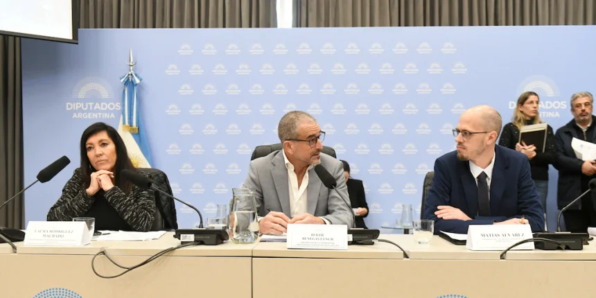 tras-excluir-a-los-funcionarios,-el-oficialismo-consiguio-dictamen-para-el-proyecto-de-inocencia-fiscal-ii-en-diputados