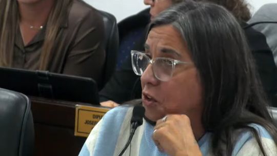 una-diputada-de-chaco-pidio-adherir-al-dia-del-orgasmo-en-plena-sesion-por-el-sobreendeudamiento