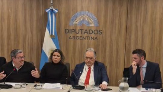diputados-se-preparan-para-el-pacto-mercosur-union-europea-y-arman-un-frente-comun-para-amigarse-con-brasil