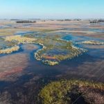 la-temperatura-record-en-el-pacifico-alerto-a-los-especialistas-por-el-impacto-del-“super-el-nino”-en-argentina