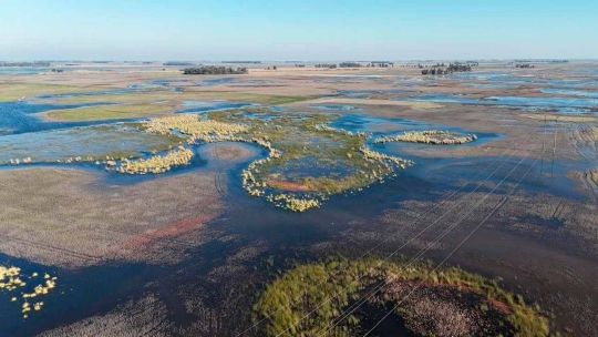 la-temperatura-record-en-el-pacifico-alerto-a-los-especialistas-por-el-impacto-del-“super-el-nino”-en-argentina