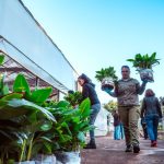 biofabrica-completo-el-envio-de-200-mil-plantines-de-banano-a-salta-y-prepara-nuevas-entregas-para-productores-misioneros