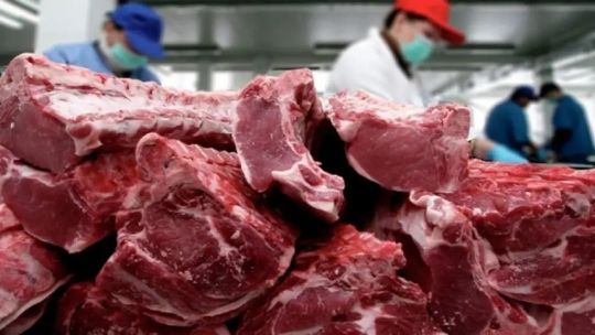 exportacion-de-carne-argentina-a-estados-unidos:-que-paso-con-un-cargamento-de-13,4-toneladas-que-fue-retirado-del-mercado