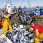 ataques-a-pescadores-ecuatorianos-cerca-de-galapagos:-que-se-sabe-de-la-misteriosa-operacion