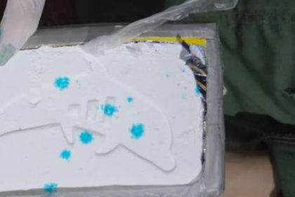 el-misterioso-“sello-del-delfin”:-que-significa-la-marca-que-aparece-en-paquetes-de-cocaina-secuestrados-en-allanamientos