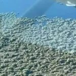 un-terraplen-clandestino-convirtio-un-rio-correntino-en-un-gigantesco-embalse-artificial