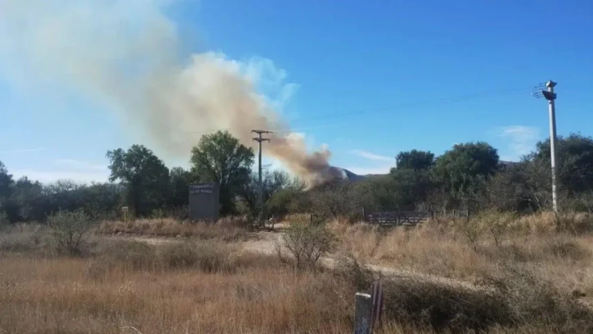 detuvieron-a-un-hombre-por-hacer-un-asado-y-provocar-un-incendio-forestal-que-afecto-15-hectareas