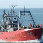 un-buque-descarto-90-toneladas-de-merluza-y-expuso-la-falta-de-controles-en-el-mar-argentino