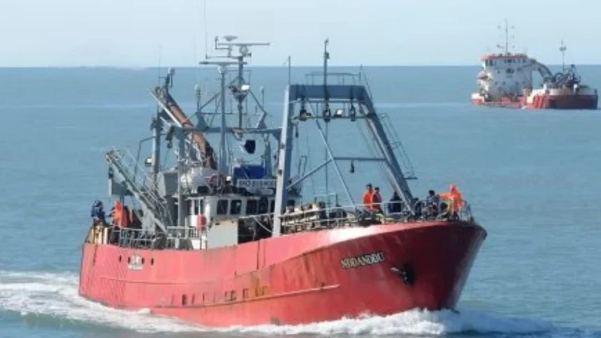 un-buque-descarto-90-toneladas-de-merluza-y-expuso-la-falta-de-controles-en-el-mar-argentino