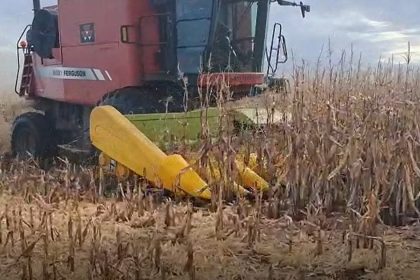 “desesperacion-por-cosechar”:-en-solo-4-dias-se-trillaron-70.000-hectareas-de-maiz,-antes-de-la-vuelta-de-las-lluvias